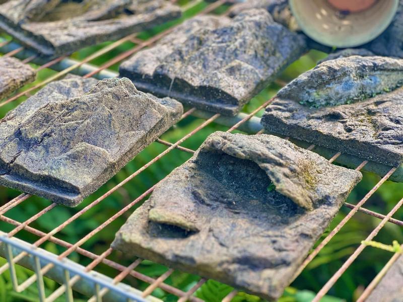 百人團遶境巡禮-《新埔．日月蓮花基地 》